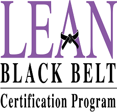 Lean Black Belt (Plus Silver Preparation)