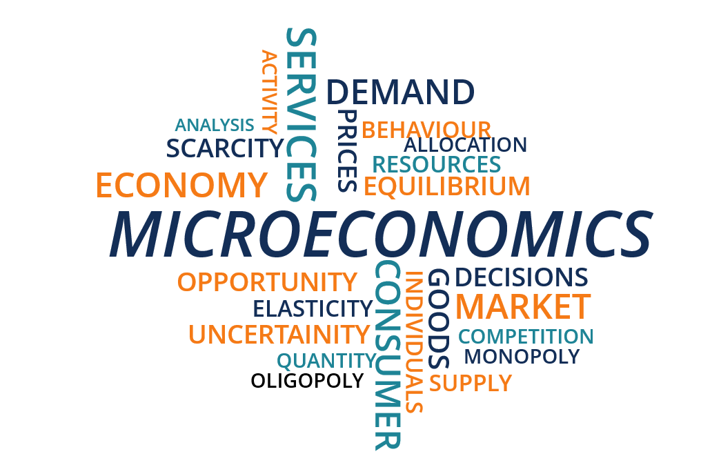 Micro Economics (Module 4)