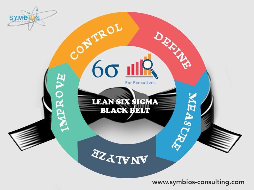 Lean Six Sigma Black Belt For Executives